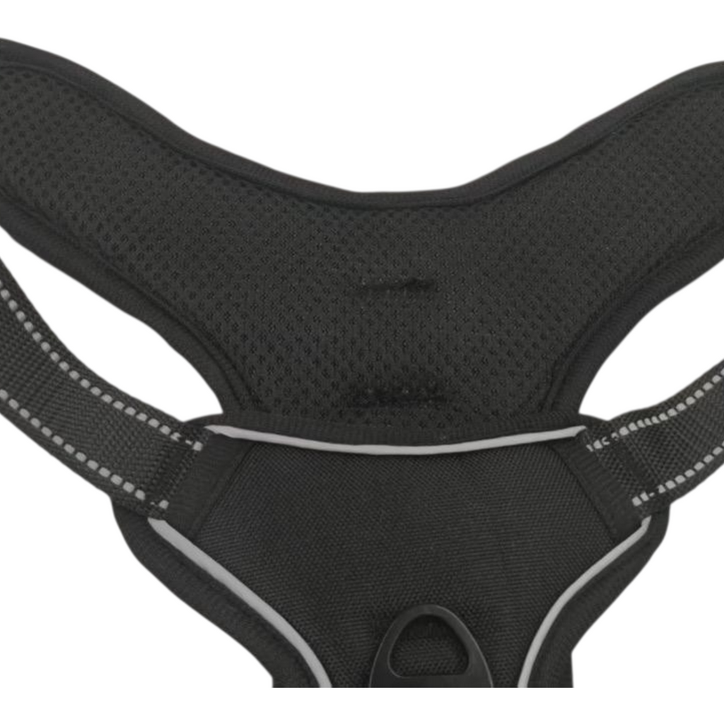 BAYN No-Pull Dog Harness & Leash Set