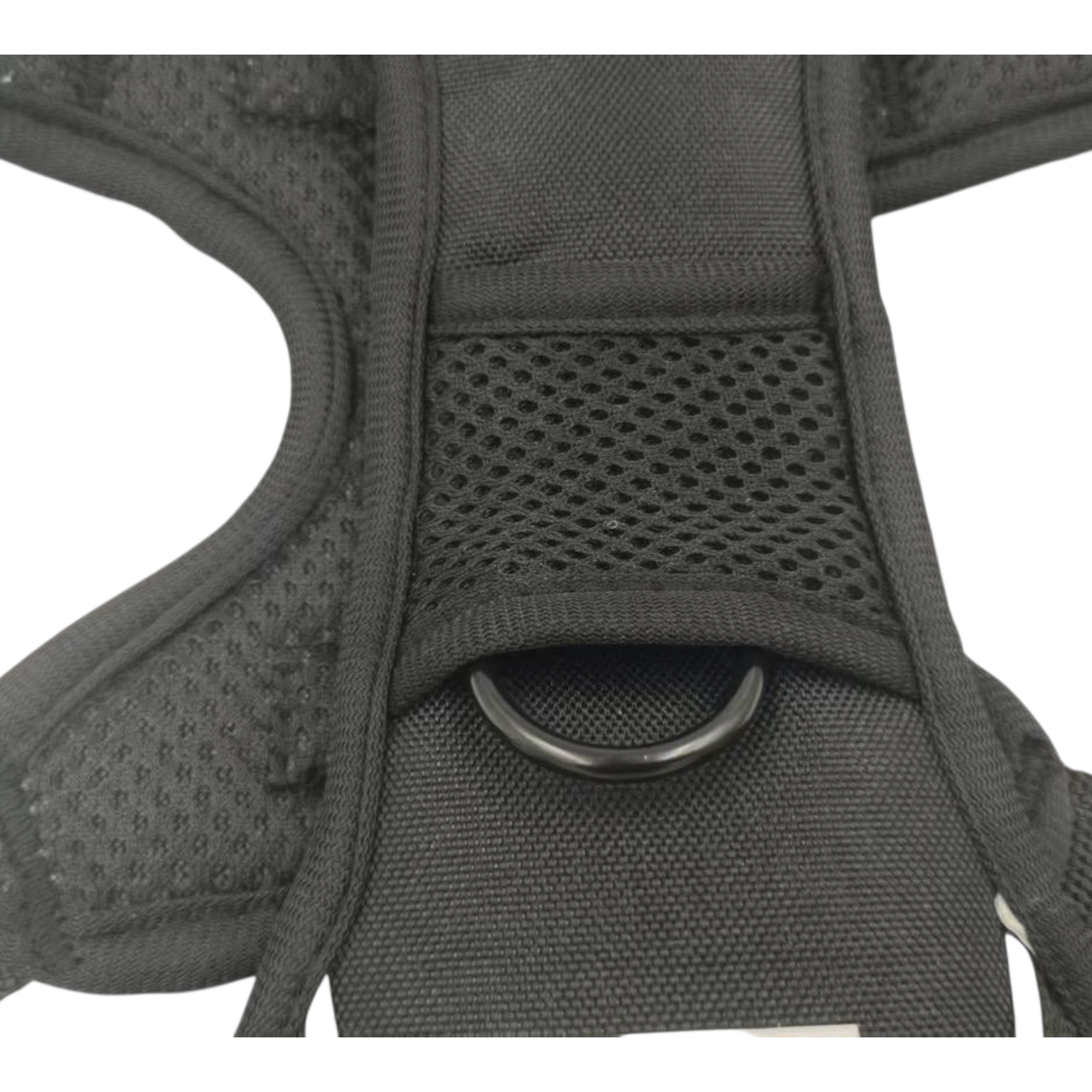 BAYN No-Pull Dog Harness & Leash Set