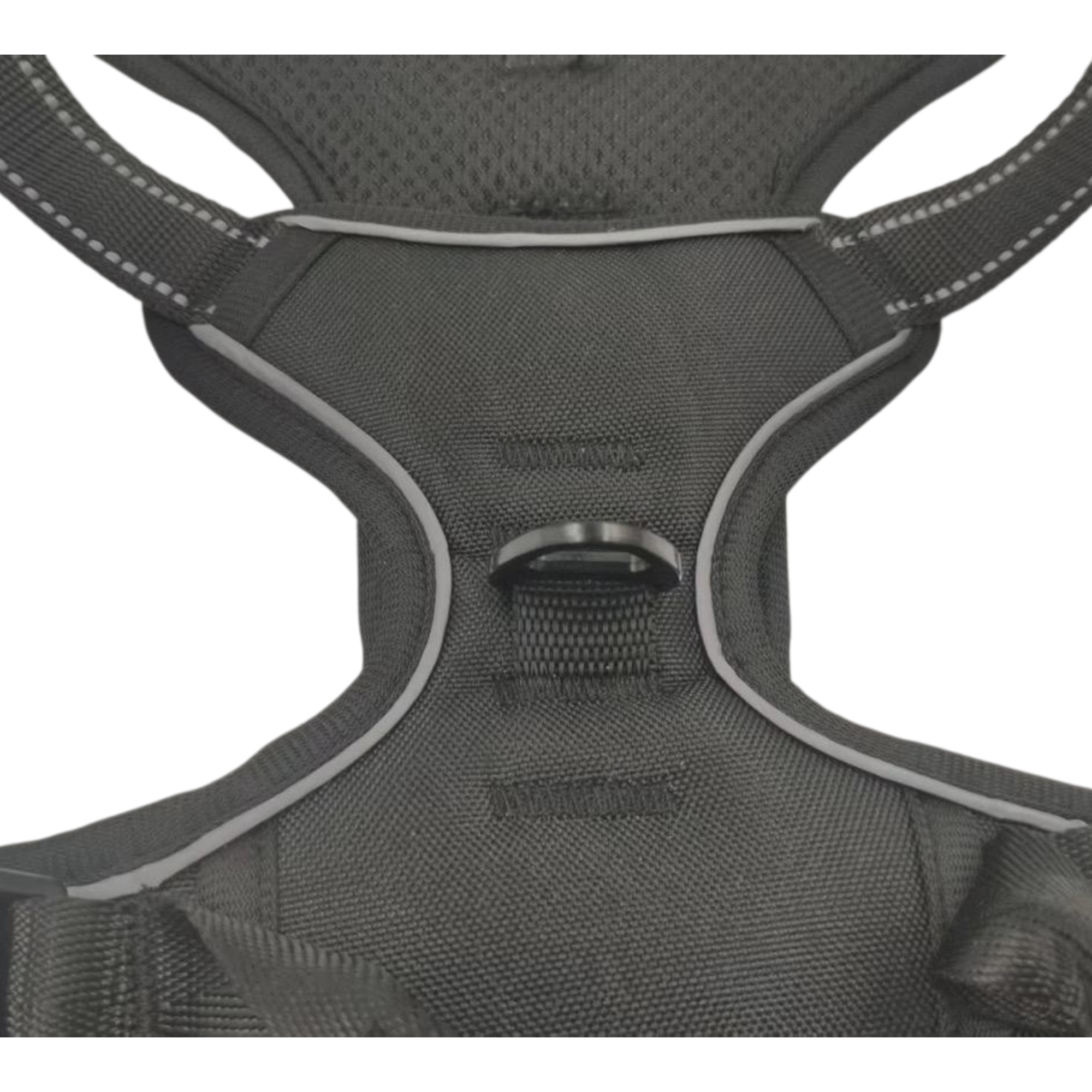 BAYN No-Pull Dog Harness & Leash Set