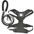 BAYN No-Pull Dog Harness & Leash Set