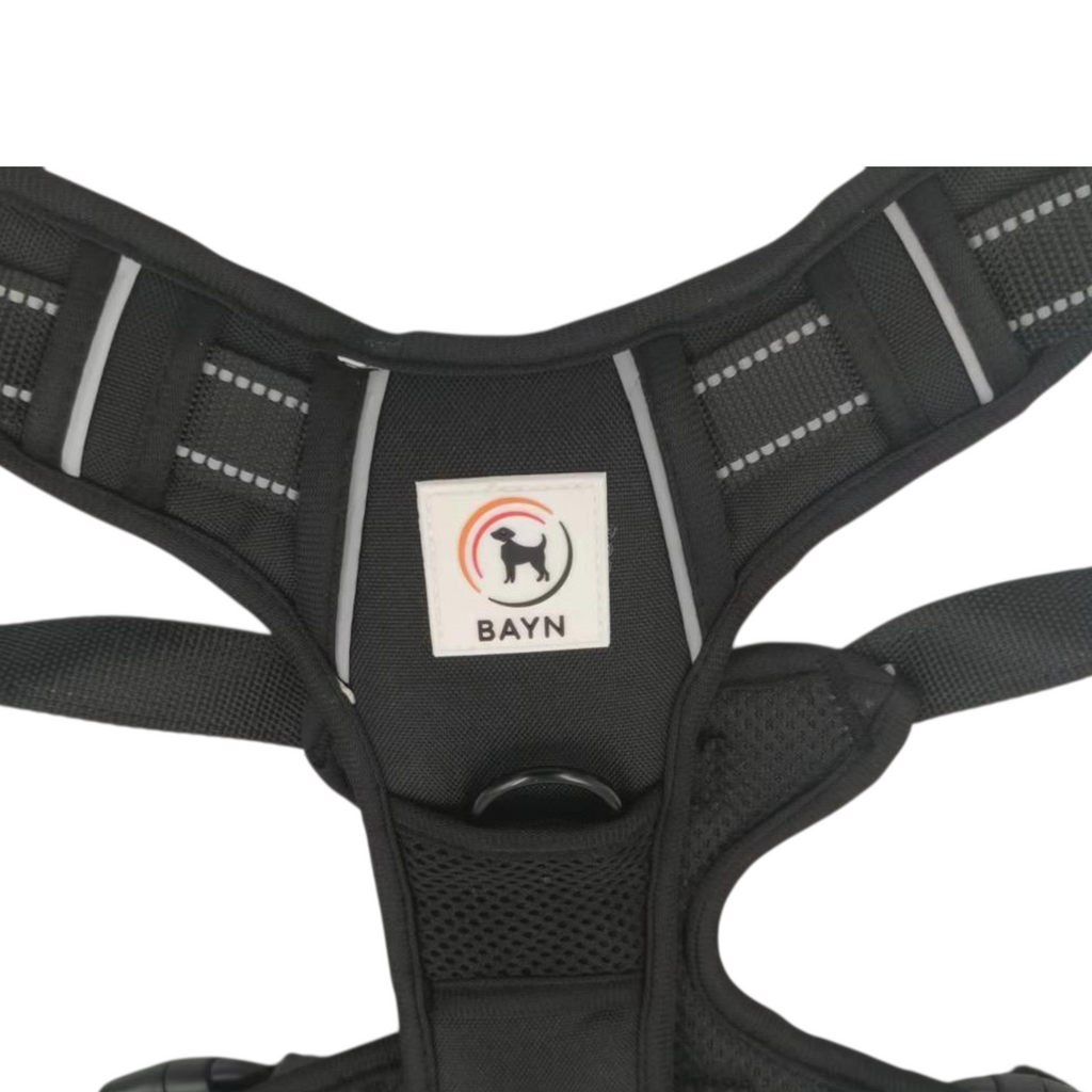 BAYN No-Pull Dog Harness & Leash Set