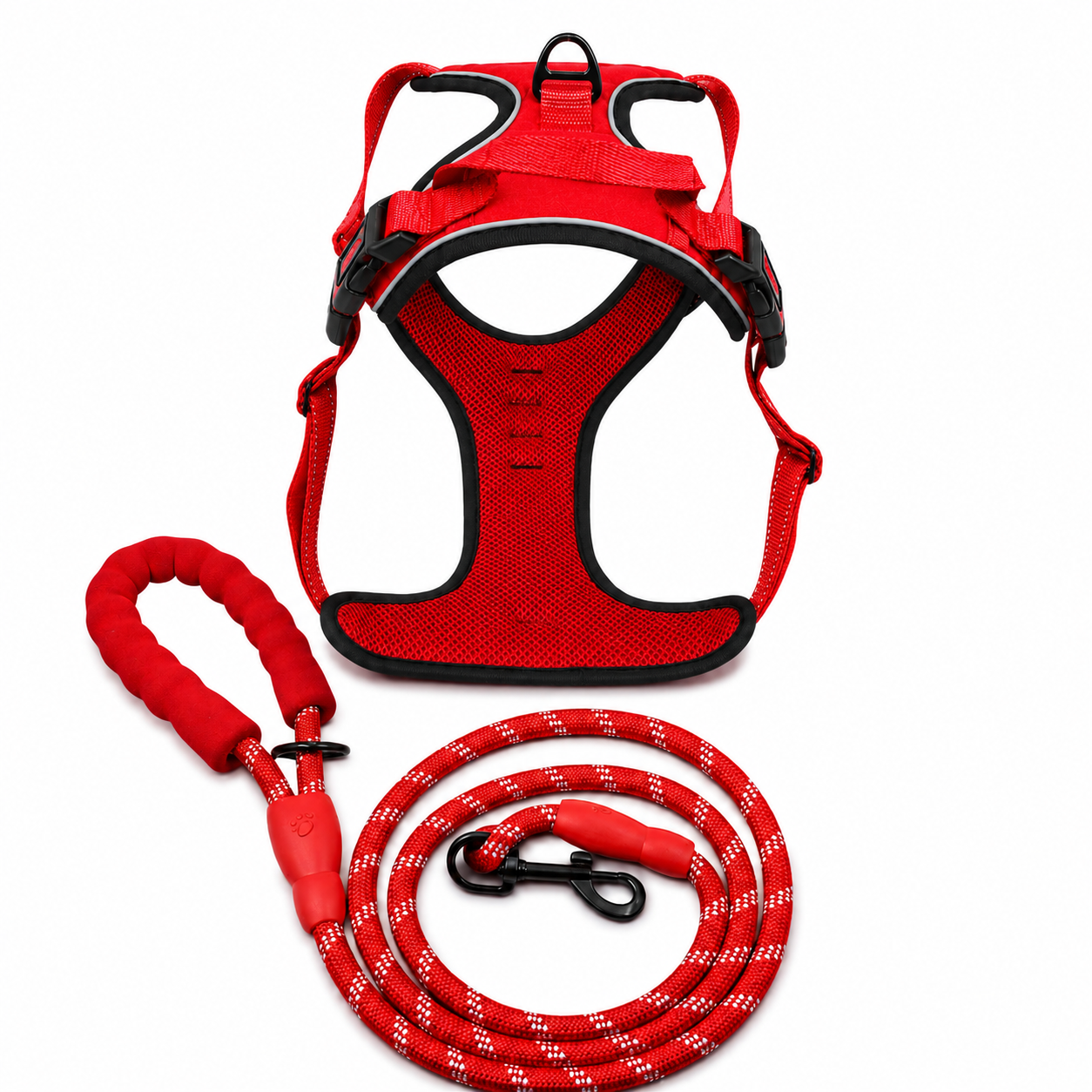 BAYN No-Pull Dog Harness & Leash Set