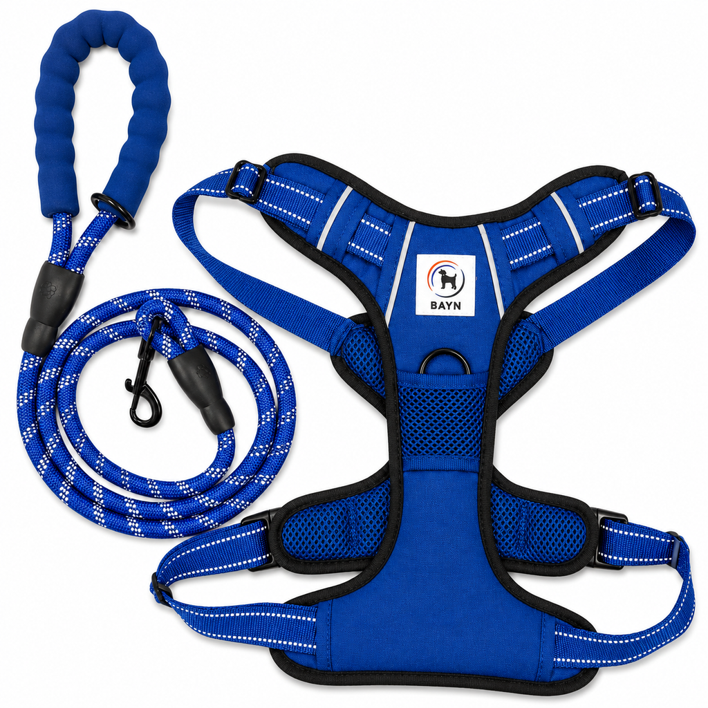 BAYN No-Pull Dog Harness & Leash Set