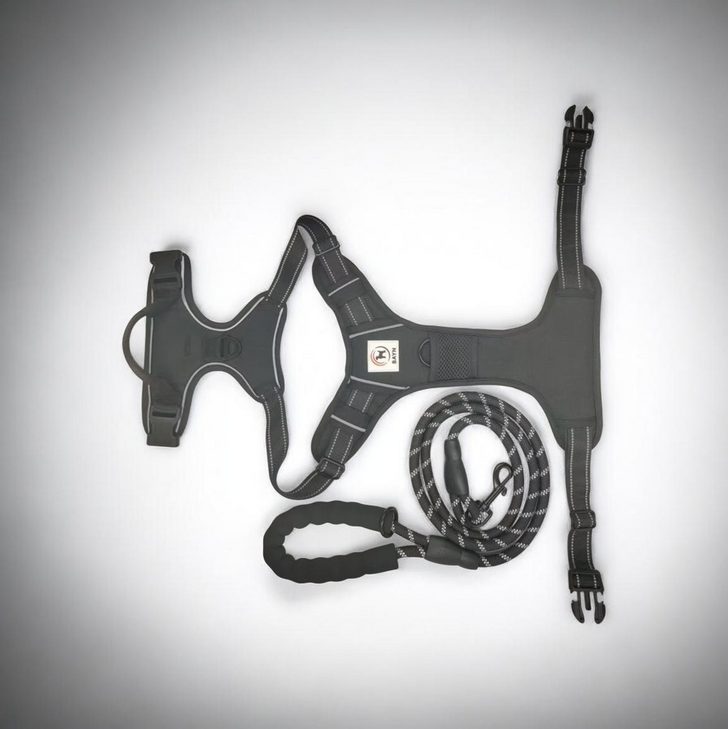 BAYN No-Pull Dog Harness & Leash Set