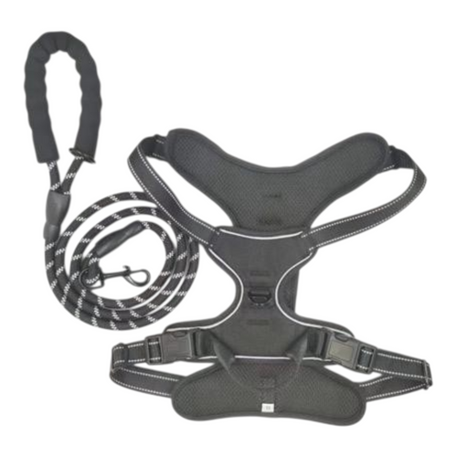 BAYN No-Pull Dog Harness & Leash Set