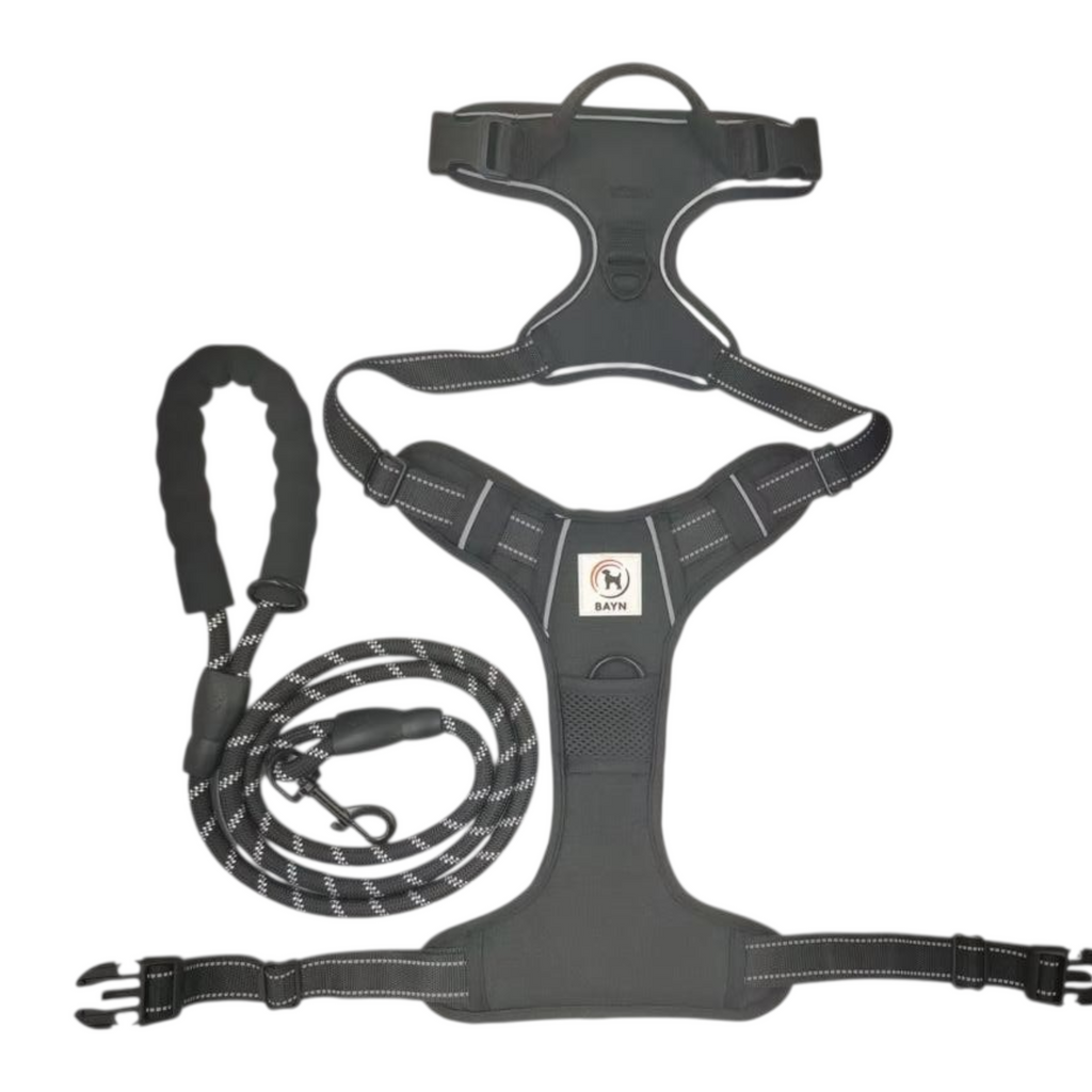 BAYN No-Pull Dog Harness & Leash Set
