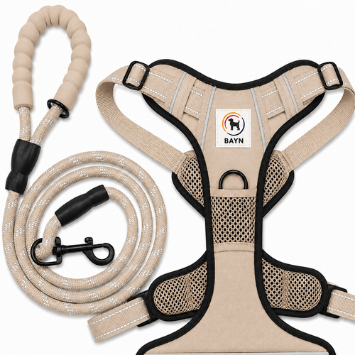 BAYN Luxury No-Pull Dog Harness & Leash Set – Sand Beige
