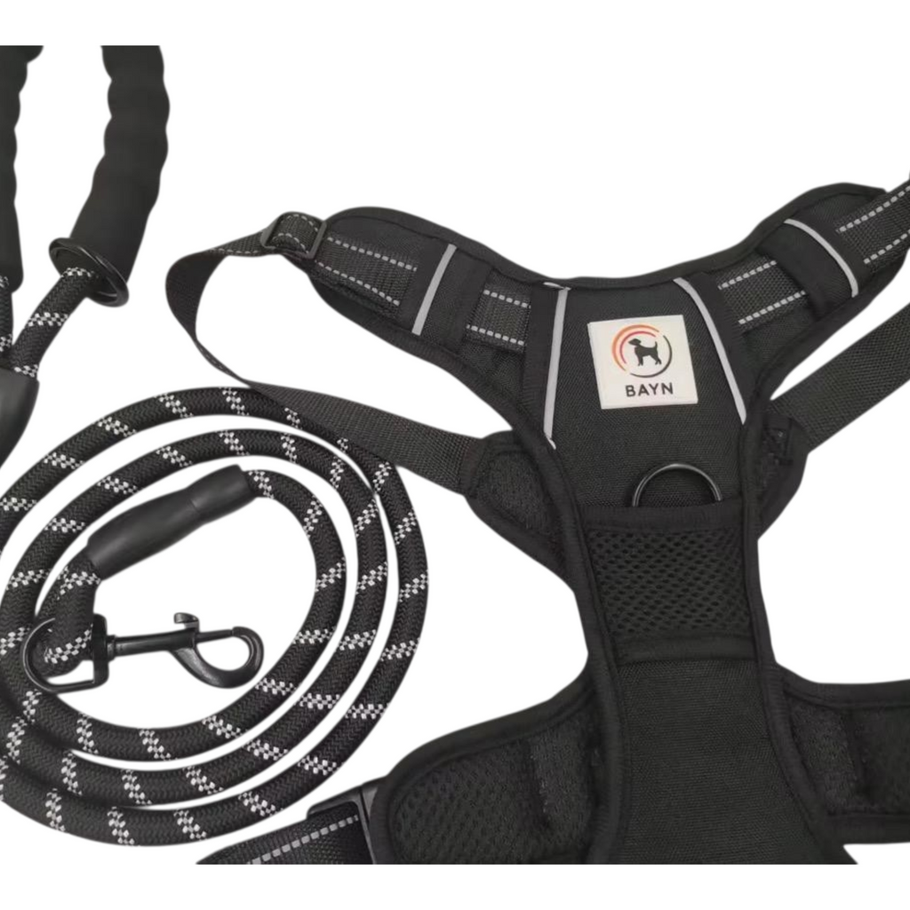 BAYN No-Pull Dog Harness & Leash Set