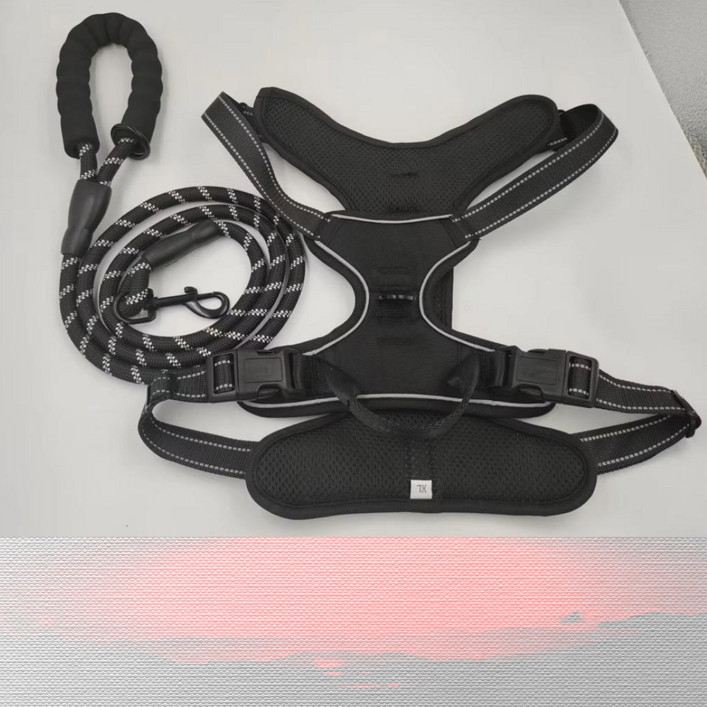 BAYN No-Pull Dog Harness & Leash Set