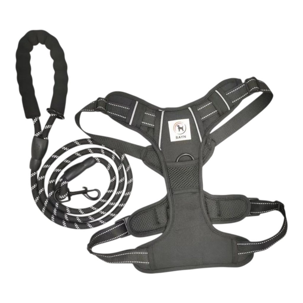 BAYN No-Pull Dog Harness & Leash Set