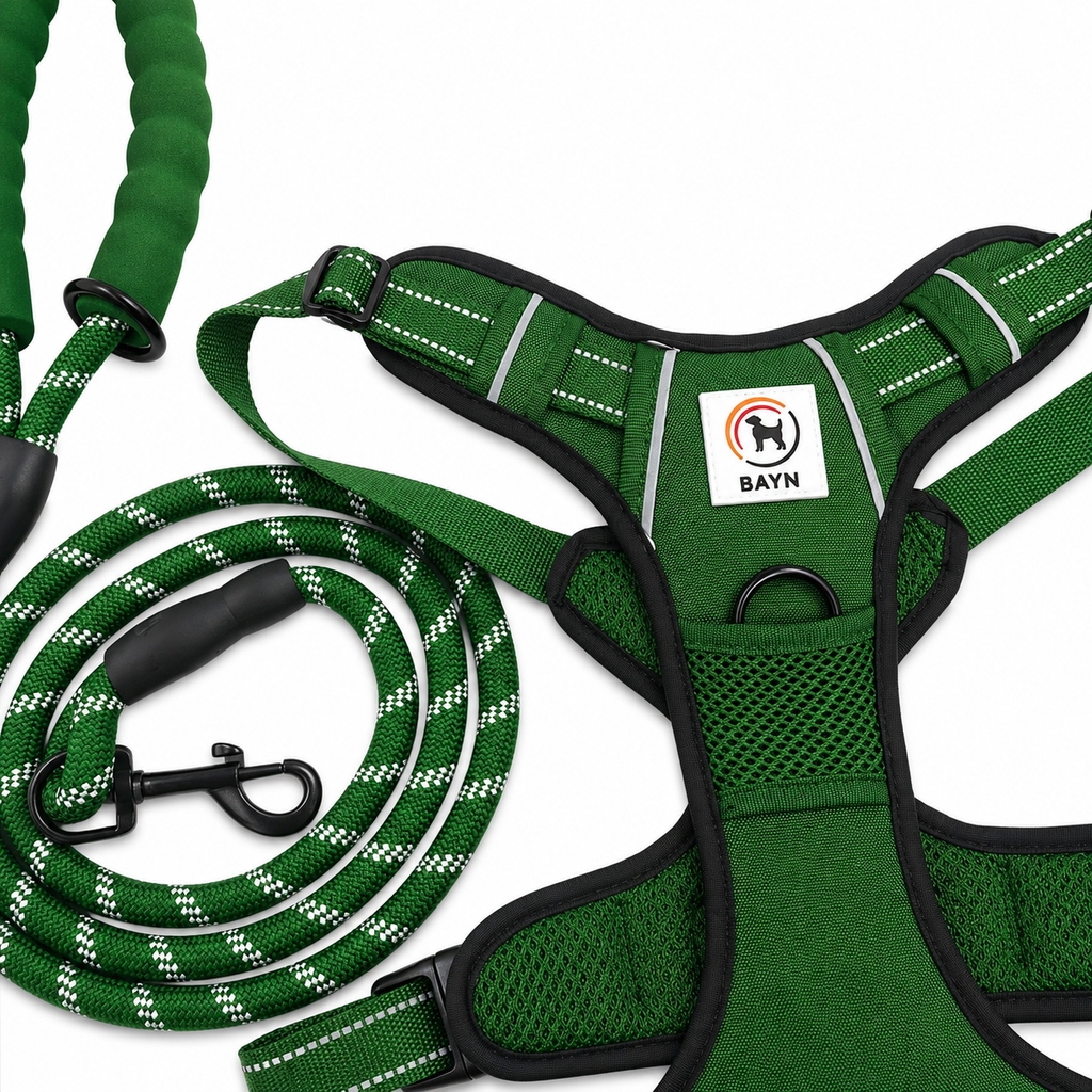 BAYN No-Pull Dog Harness & Leash Set