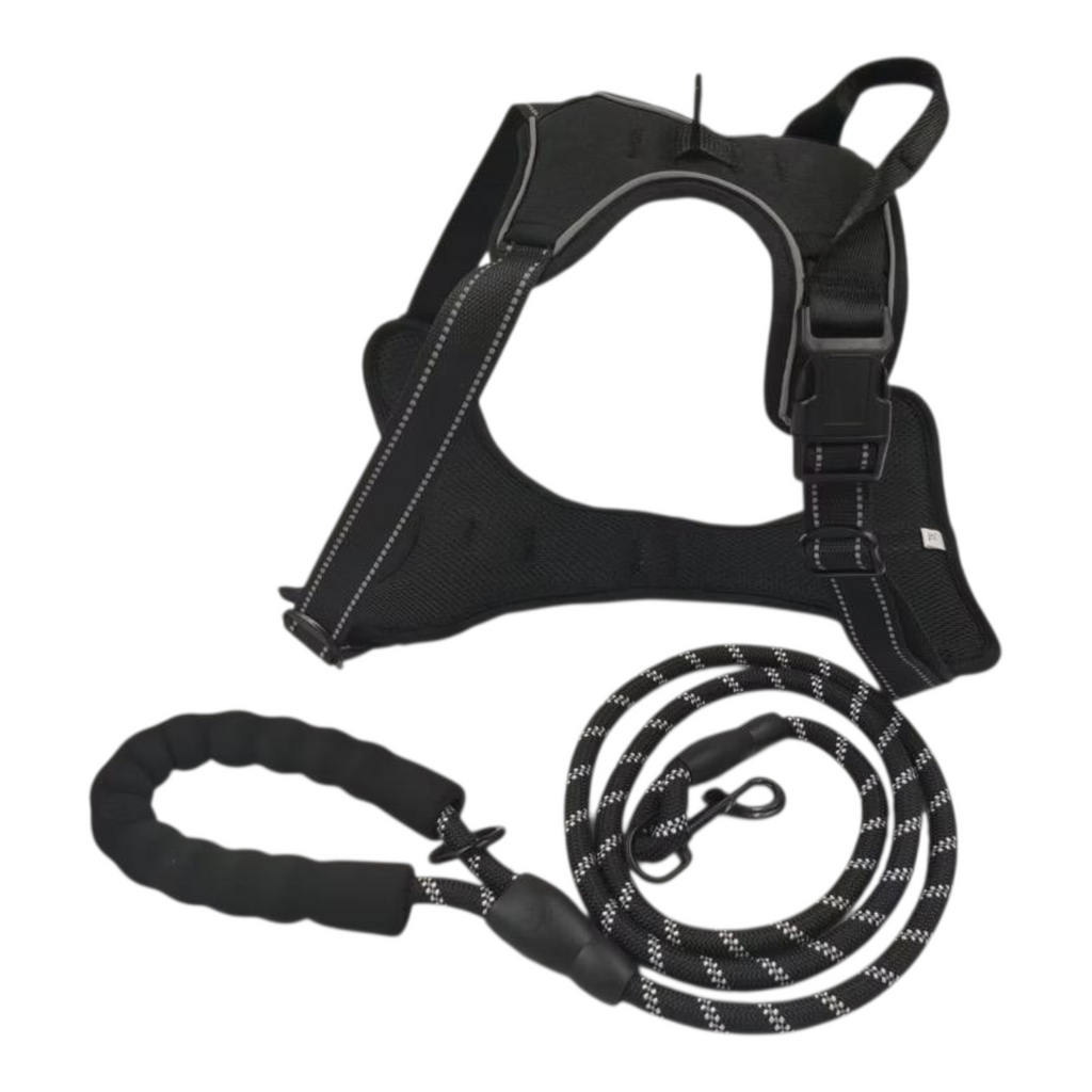 BAYN No-Pull Dog Harness & Leash Set