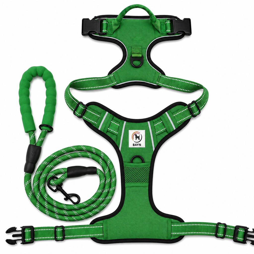 BAYN No-Pull Dog Harness & Leash Set