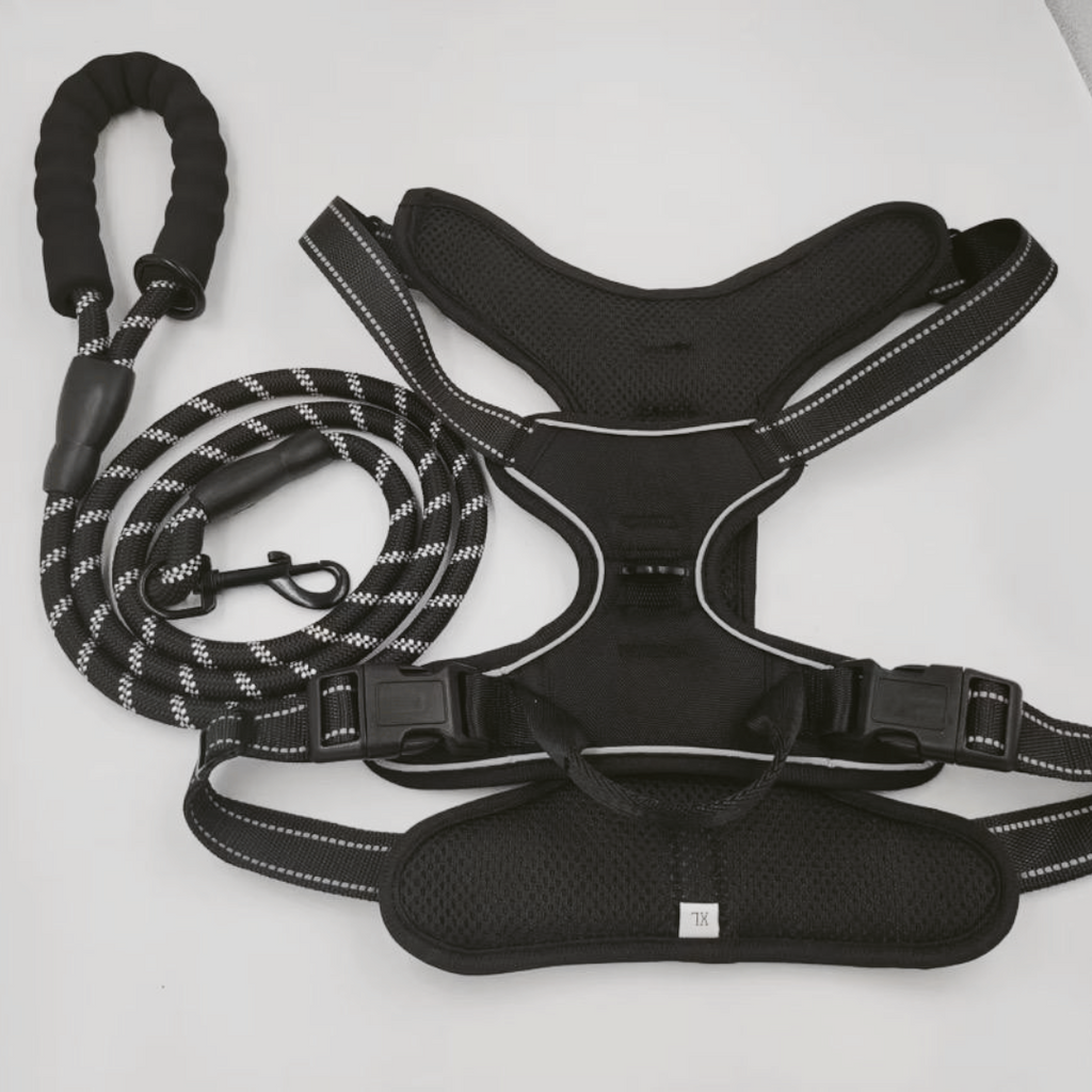 BAYN No-Pull Dog Harness & Leash Set