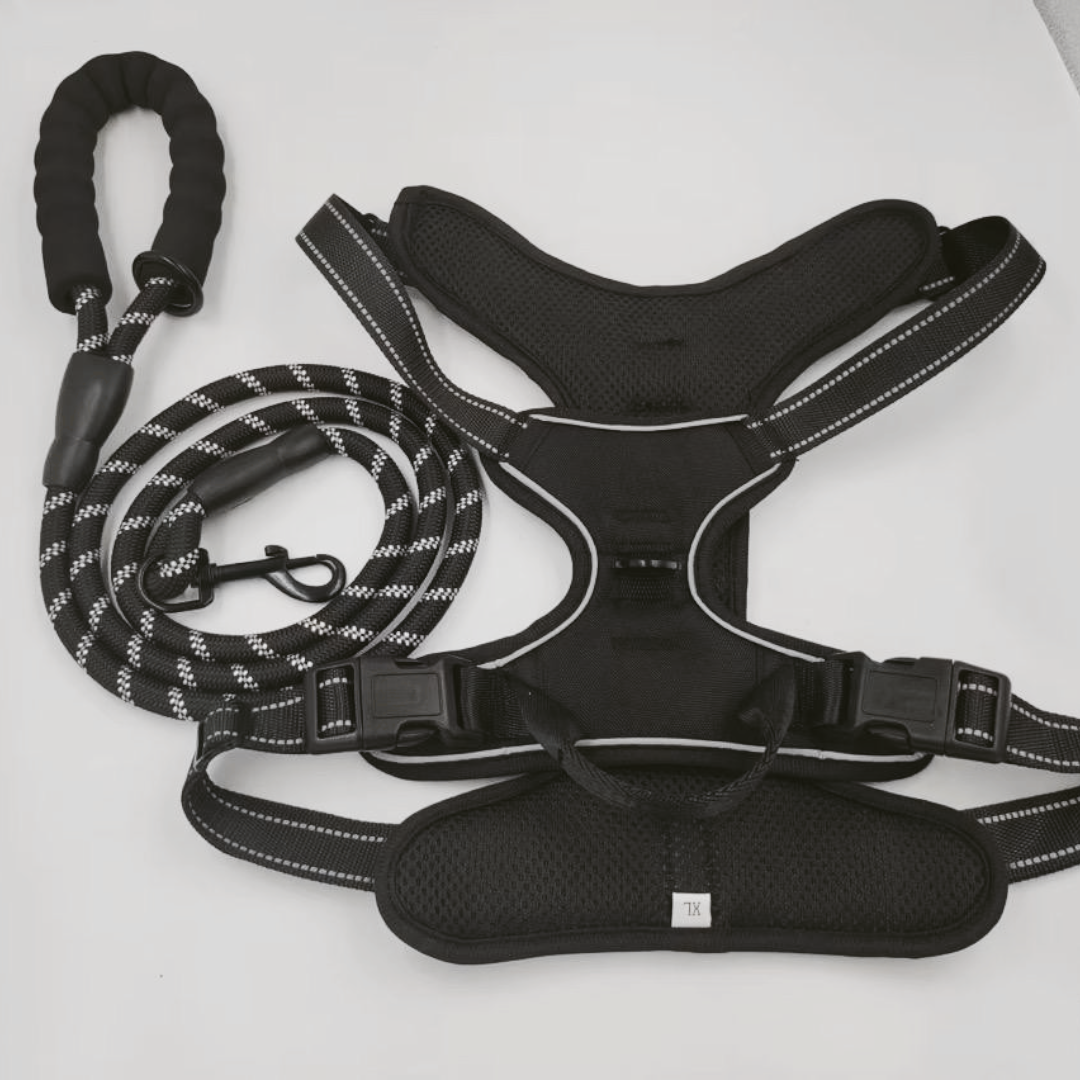 BAYN No-Pull Dog Harness & Leash Set