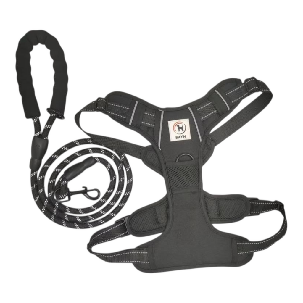 BAYN No-Pull Dog Harness & Leash Set