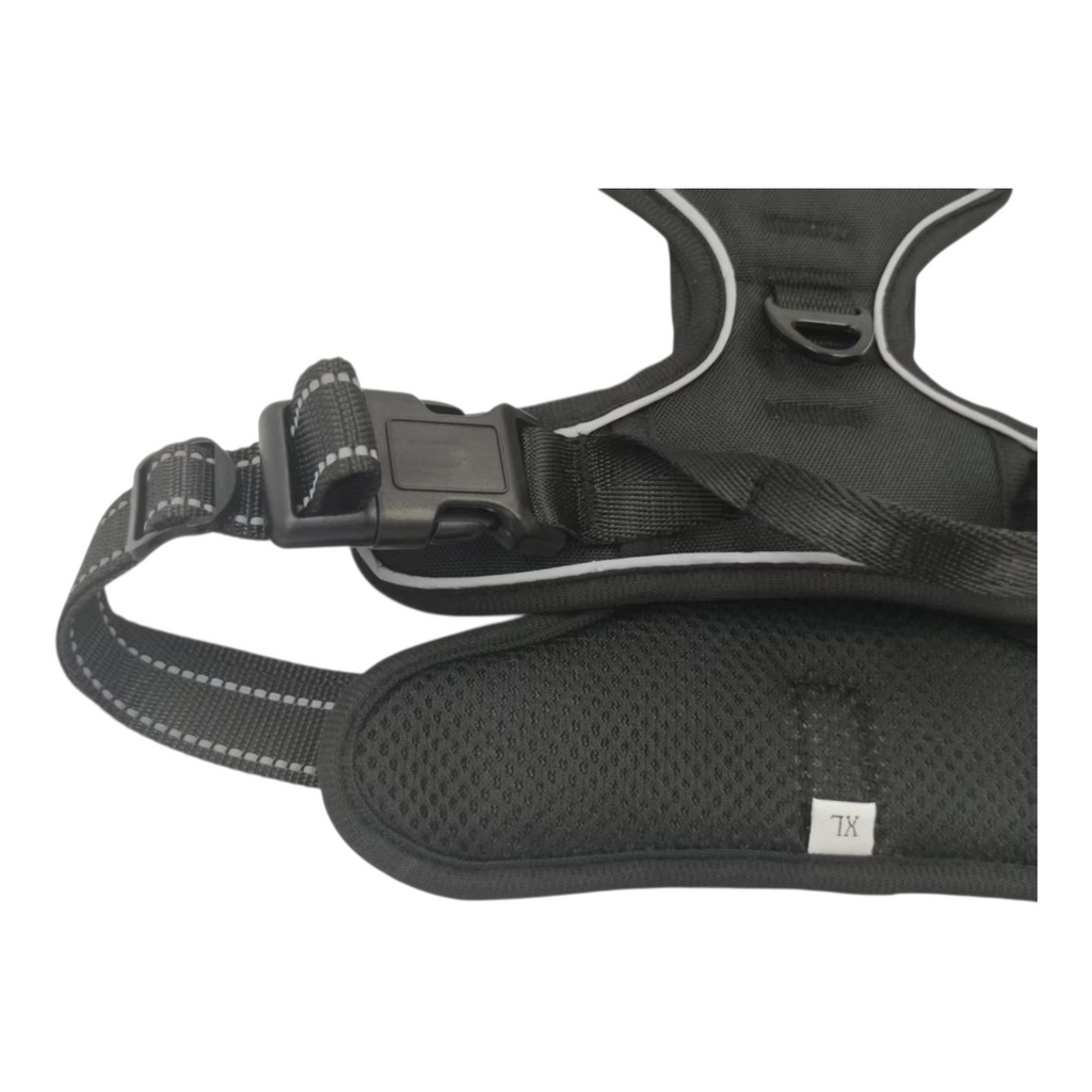 BAYN No-Pull Dog Harness & Leash Set