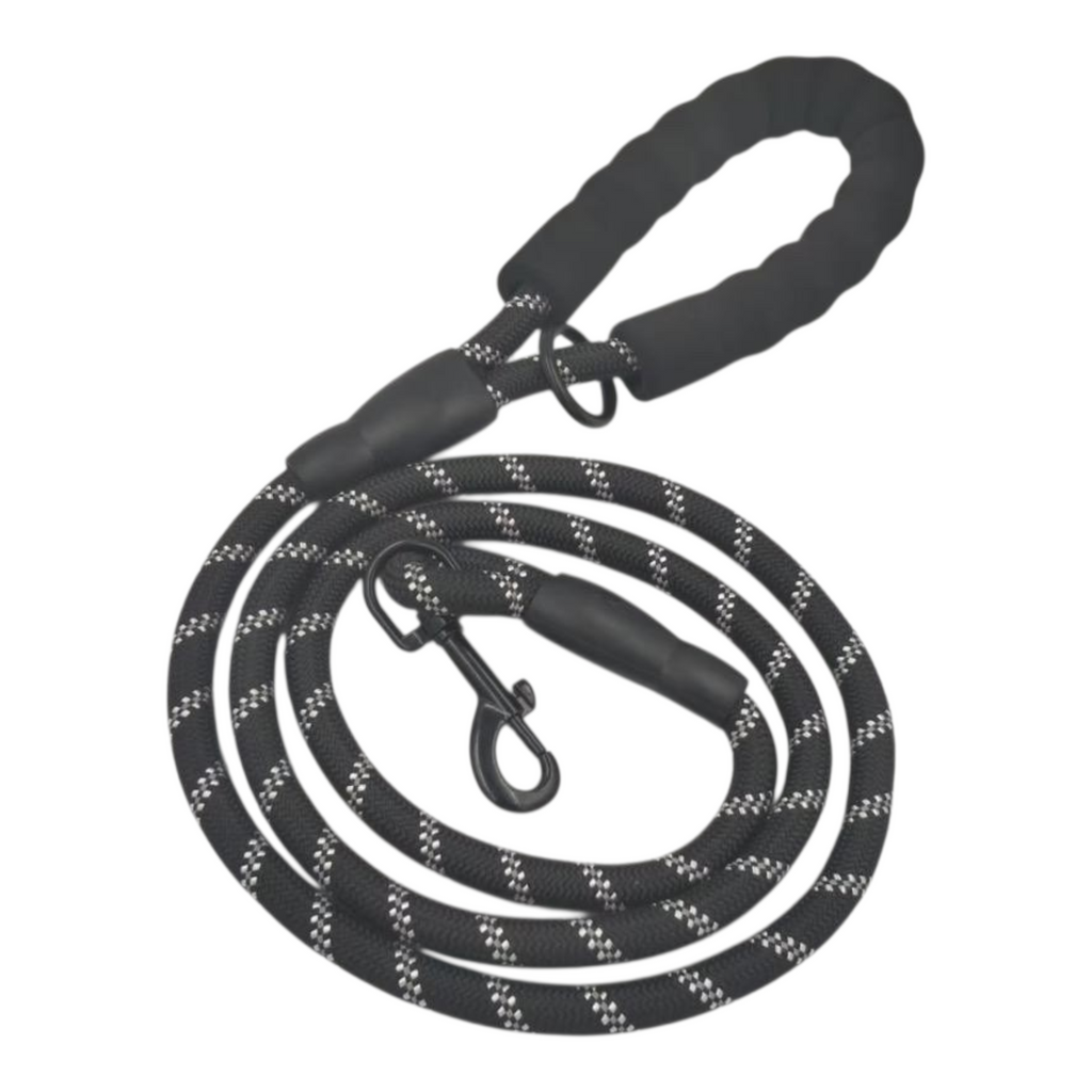 BAYN No-Pull Dog Harness & Leash Set